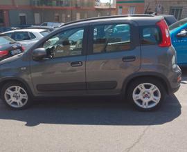 FIAT Panda 3ª serie - 2022 SOLI 11000 KM