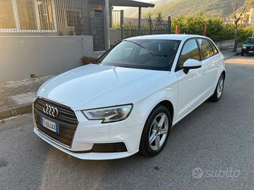 Audi A3 1.6 TDI 116cv diesel Business 2017