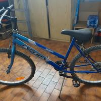 bicicletta mountain bike Esperia Oklaoma