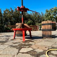 Torchio per la vendemmia VITE DA 60