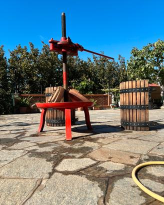 Torchio per la vendemmia VITE DA 60
