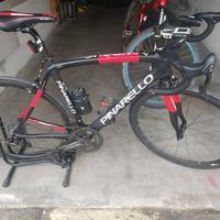 bici pinarello