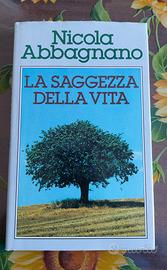 La saggezza della vita di Nicola Abbagnano