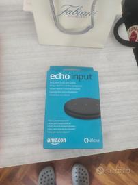 Echo input