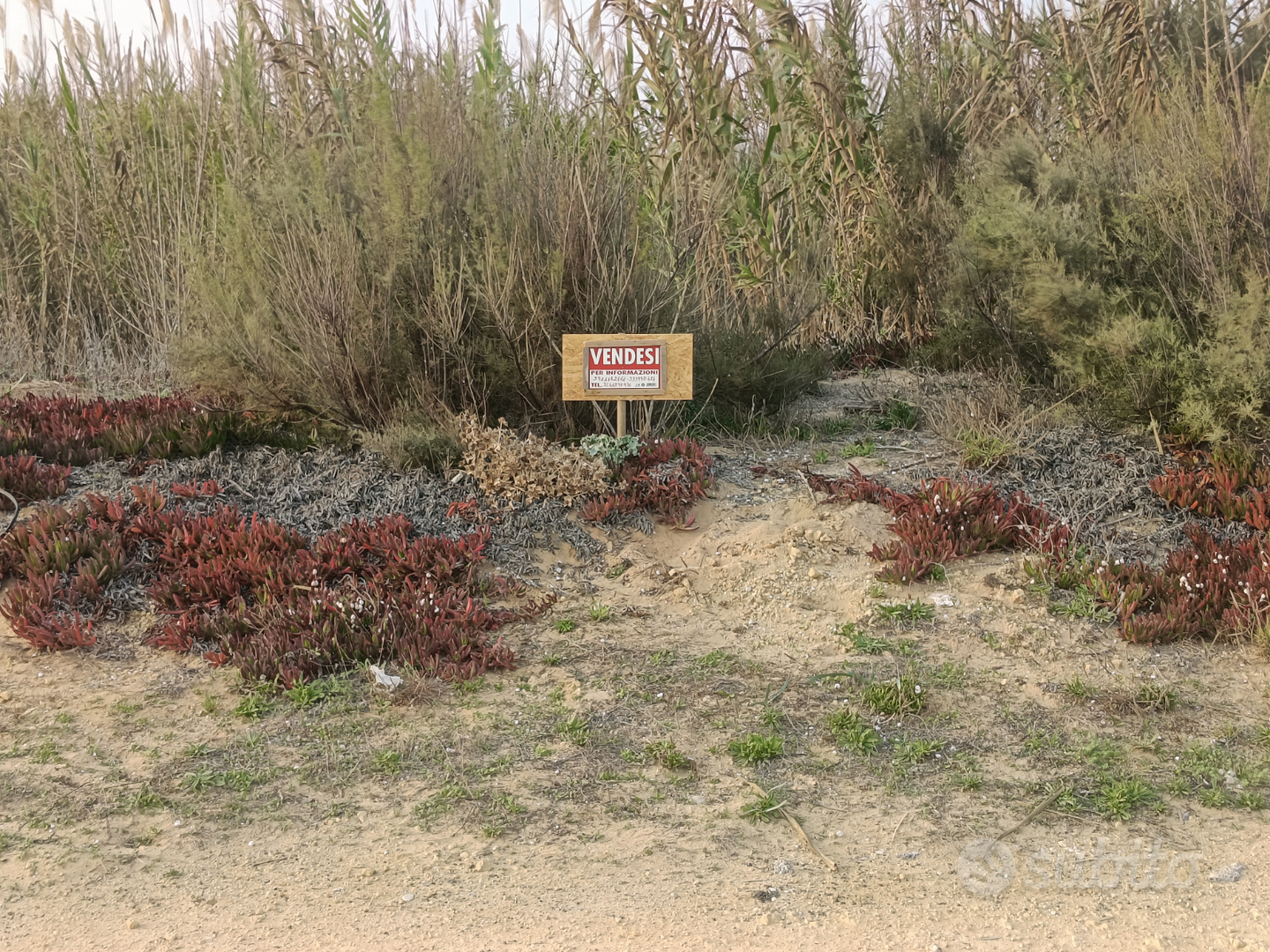 Terreno fronte mare - Vista 2