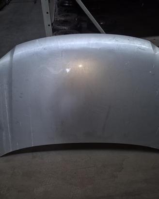 Cofano Anteriore Per Volkswagen Touran 2006