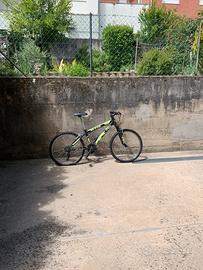 Bicicletta