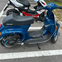 Vespa pk 50s anno 1982