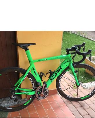 Bici da corsa