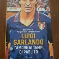 Luigi Garlando - L'amore ai tempi di Pablito