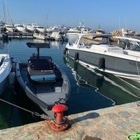 Tender Goldfish 23 perfetto anno 2016