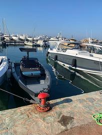 Tender Goldfish 23 perfetto anno 2016