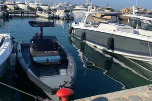 Tender Goldfish 23 perfetto anno 2016