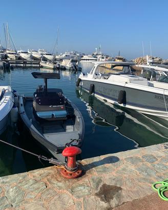 Tender Goldfish 23 perfetto anno 2016