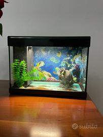 Acquario con accessori