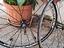 Immagine 1