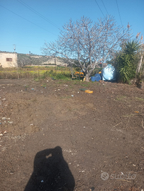 Terreno temini imerese