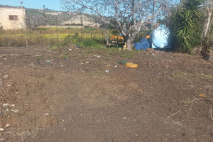 Terreno temini imerese