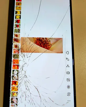 Samsung Galaxy  A51 