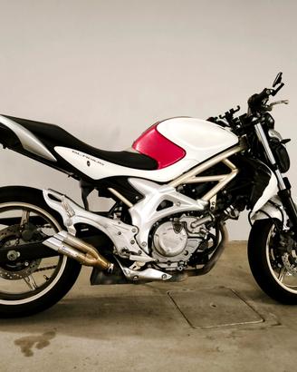 Suzuki SFV Gladius 650 Full Power