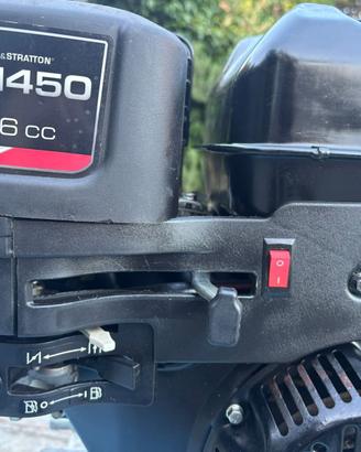 Motore Briggs & Stratton XR 1450