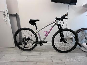 Bici mtb 29