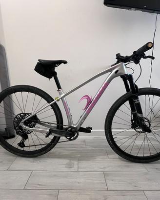 Bici mtb 29
