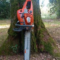 Riparazione motoseghe e decespugliatori