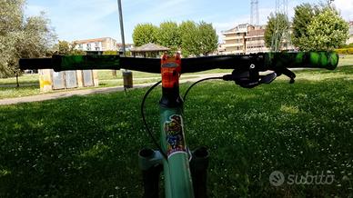 Bici mountain bike