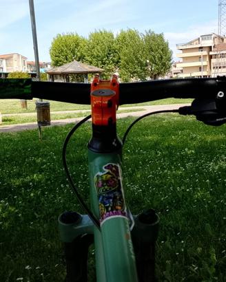 Bici mountain bike