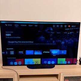 Sony Bravia OLED AG9 55” - pannello difettoso