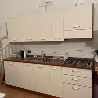Cucina usata con lavastoviglie , cappa, frigo.