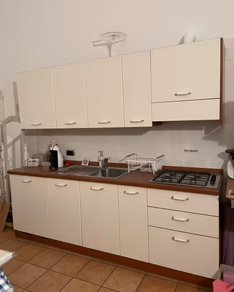 Cucina usata con lavastoviglie , cappa, frigo.