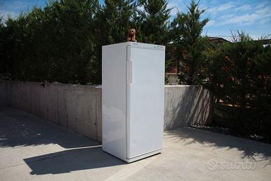 Congelatore verticale SANCY - 200 litri