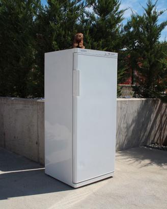 Congelatore verticale SANCY - 200 litri