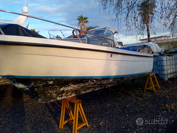 Barca 6MT motore Mercury