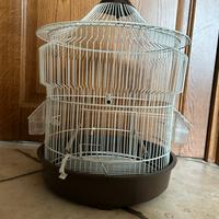 Gabbia uccellini