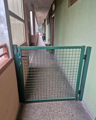 cancellino ferro verde