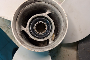 Elica Yamaha e mercury