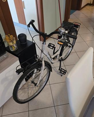 bicicletta holland nuova donna ruote da 26 pollici