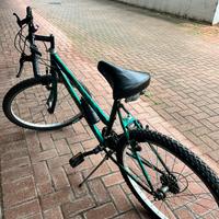 2 Bici Bike