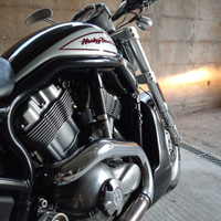 Harley Davidson v-rod variante vrscr