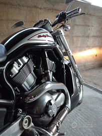 Harley Davidson v-rod variante vrscr