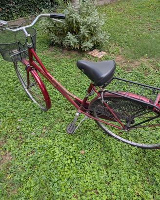 bicicletta  donna 
