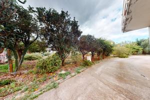 Intera palazzina bancali