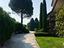 Immagine 6