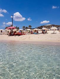 Residence arco del Saracino 4 stelle lido marini