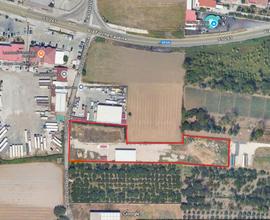 Capannone con area industriale
