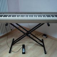 Pianoforte ORLA Stage Player - digitale, 88 tasti