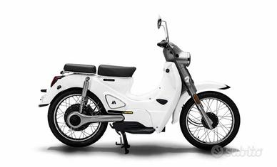 Motron Cubertino - 2022